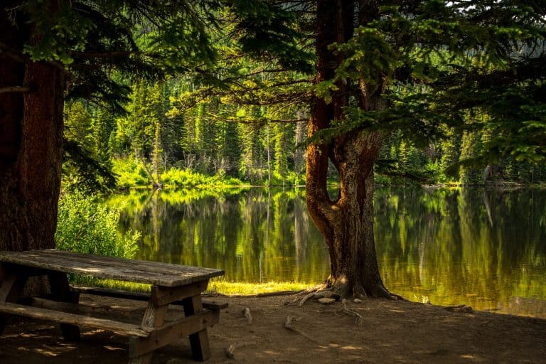 Read more about the article Wypoczynek nad jeziorem – co ze sobą zabrać i o czym pamiętać planując wyjazd?