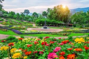 Read more about the article Poznaj najpiękniejsze ogrody świata i zwiedź je!