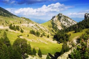 Zwiedzanie Alp latem: Ciesz się urokami górskiej przyrody w pełnej okazałości