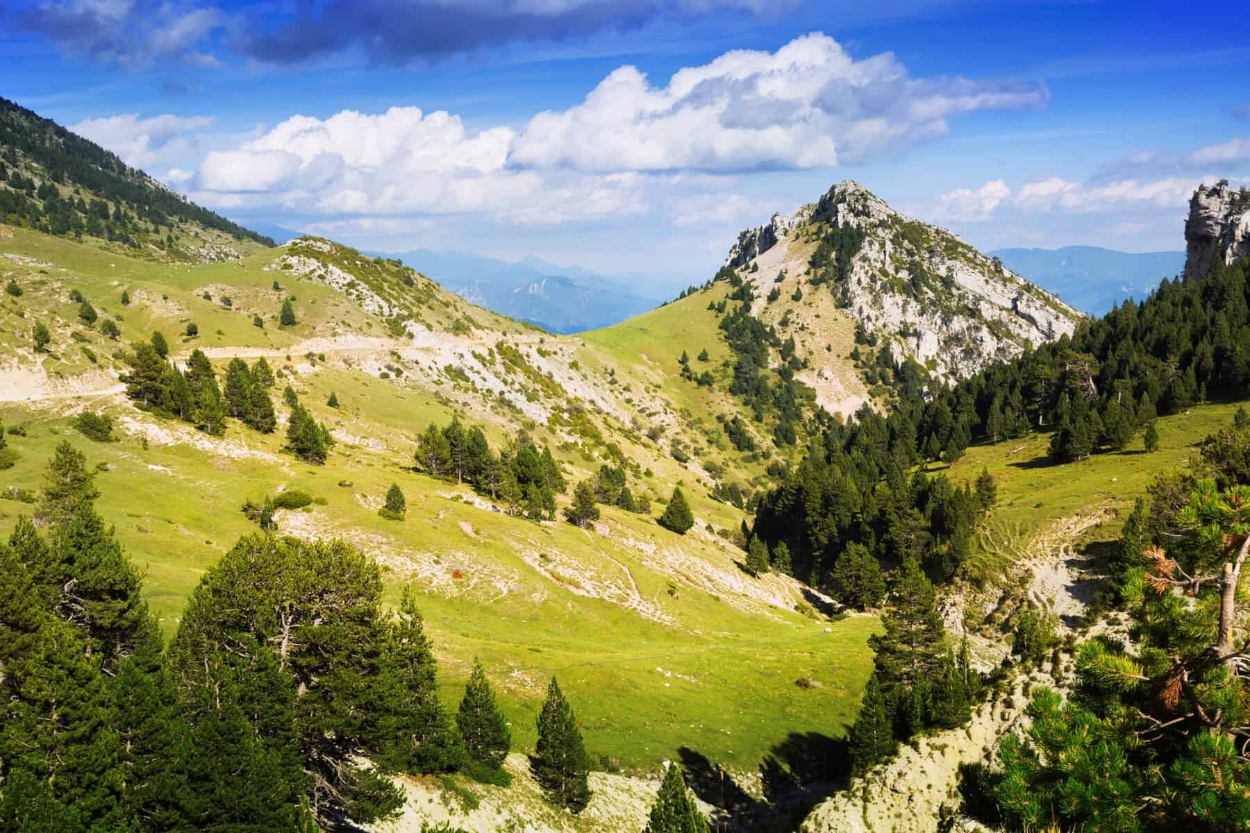 Zwiedzanie Alp latem: Ciesz się urokami górskiej przyrody w pełnej okazałości